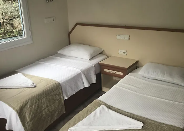 Ideal Φετιγιέ